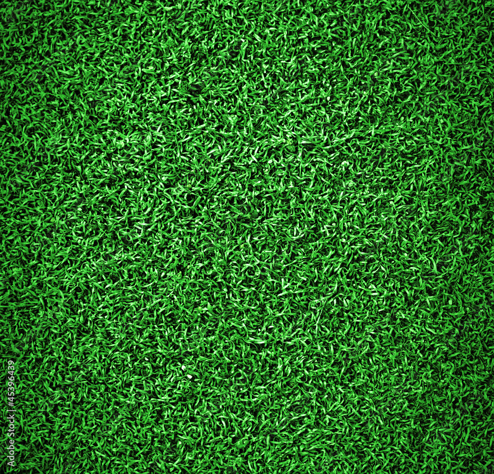 Artificial grass Artificial grass