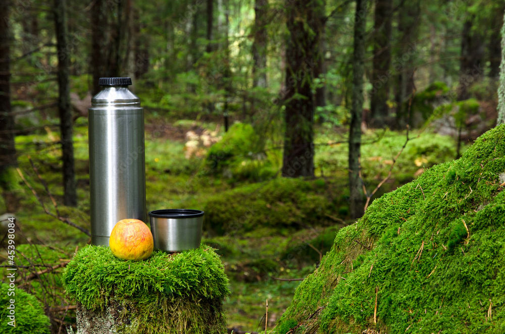 Thermos and apple in deep forest