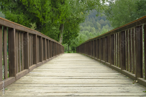 Wooden bridge in the park