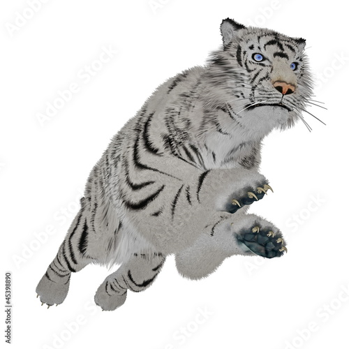 Fototapeta Naklejka Na Ścianę i Meble -  White tiger jumping