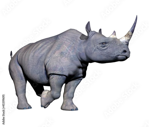 Rhinoceros running