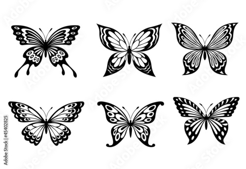 Beautiful butterflies © Vector Tradition