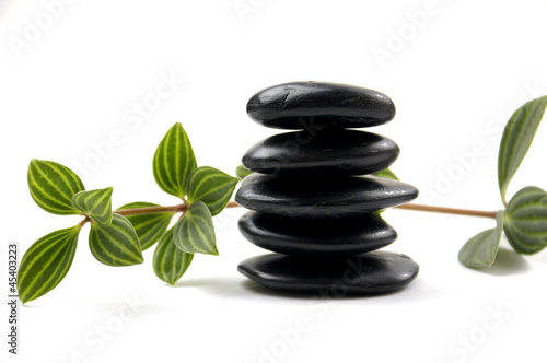 Stack of Stones with ivy leafs