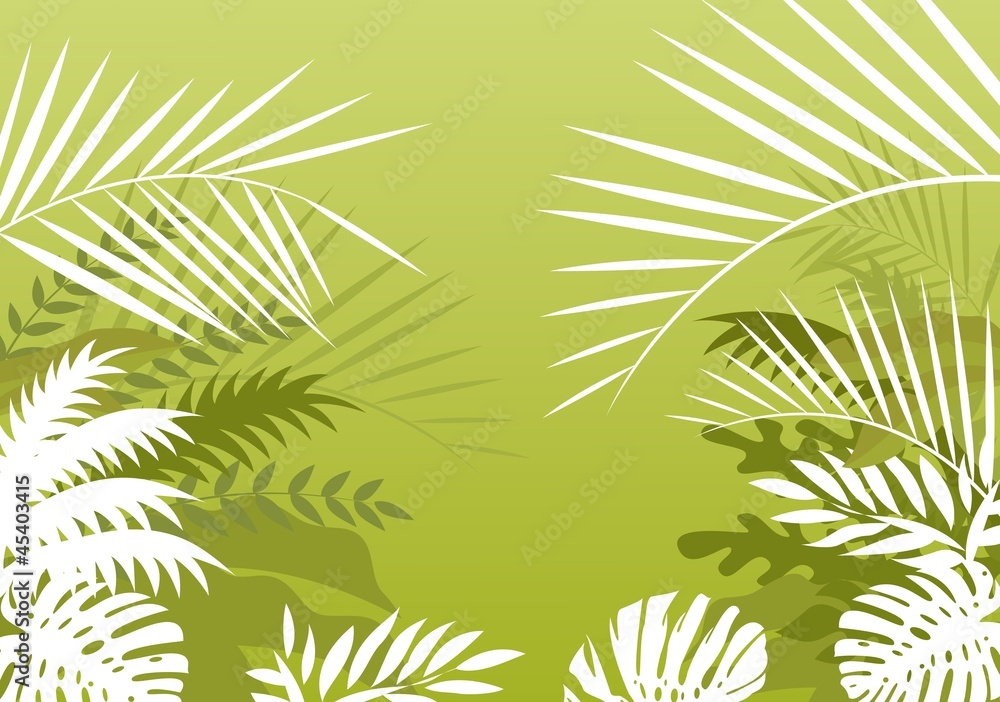 tropical palm background