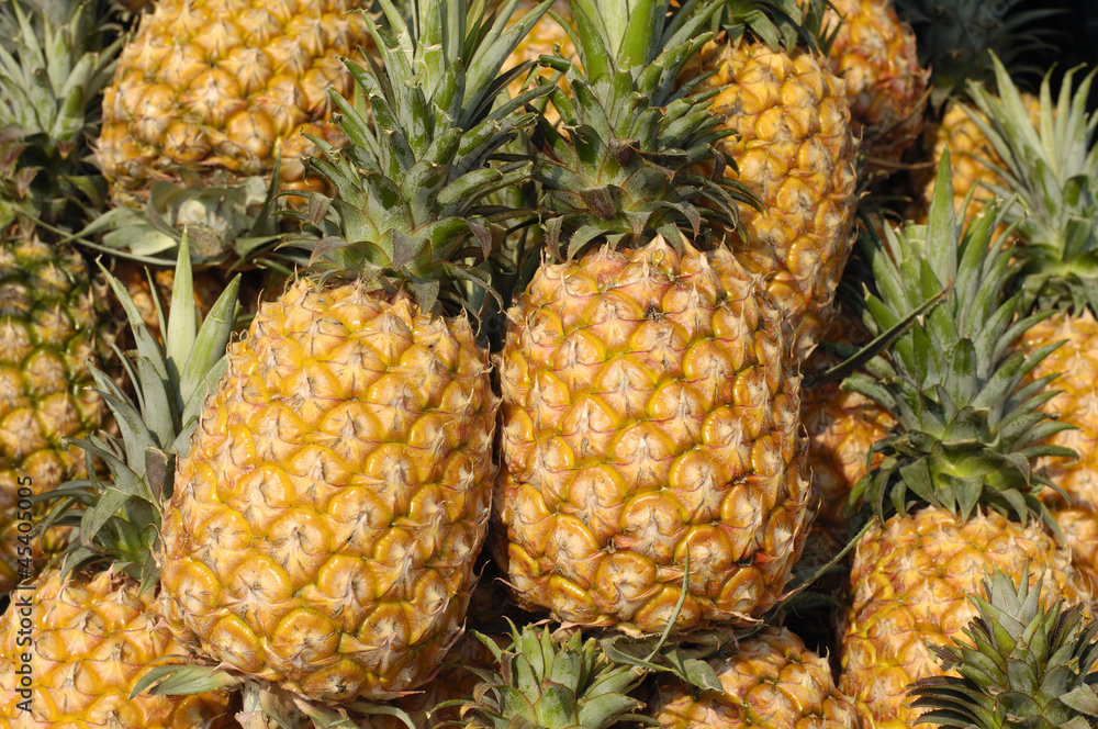 fresh pineapples fresh pineapples