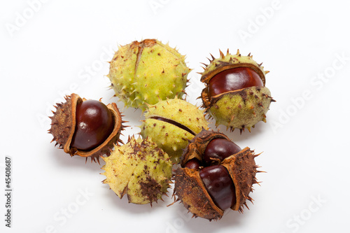 ripe chestnuts isolated on a white background