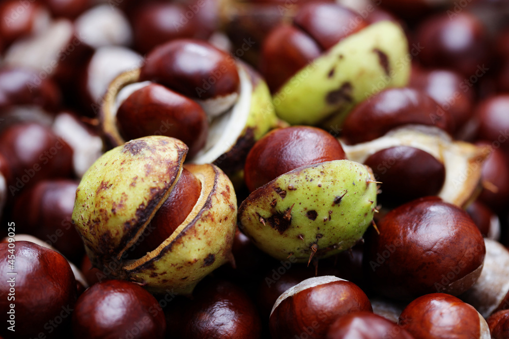 chestnuts chestnuts
