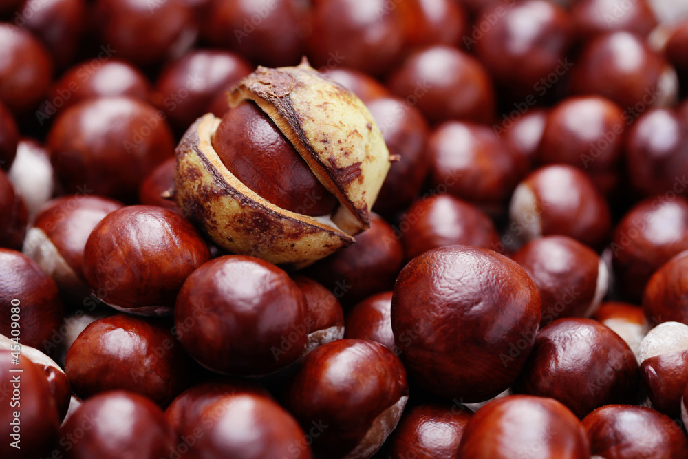 chestnuts chestnuts