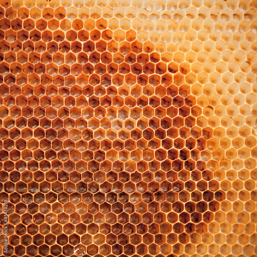 Fresh honeycomb background texture
