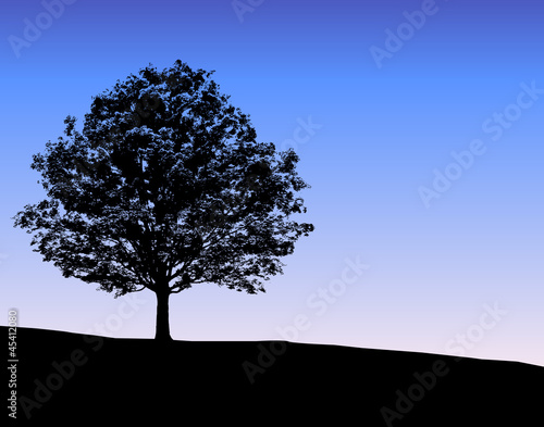 Arbre silhouette