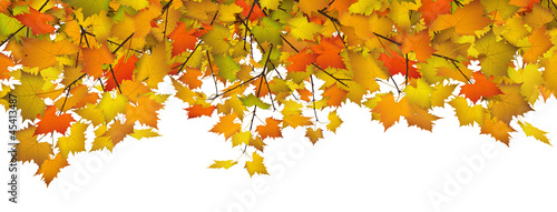 Herbstblätter, Blätter, Hintergrund, Banner, Panorama, Webdesign photo