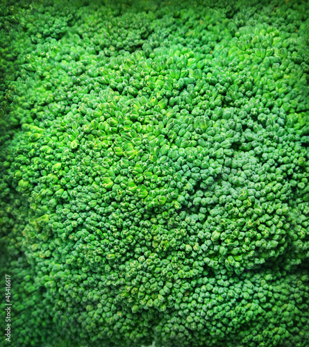 Broccoli background