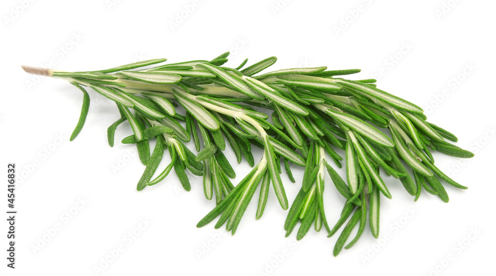Rosemary spices