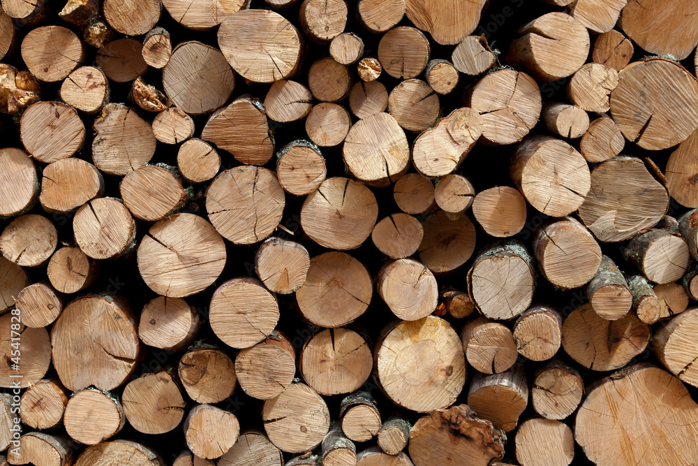 Firewood stacked in the woodpile Firewood stacked in the woodpile