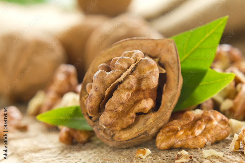 Fototapeta premium Walnuts