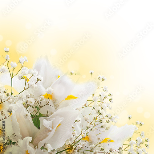 Fototapeta Naklejka Na Ścianę i Meble -  White irises against a green grass, a summer butterfly