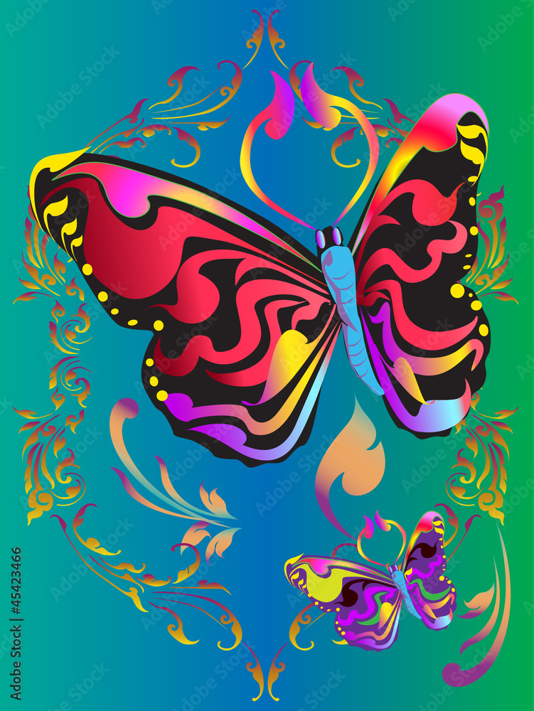 Butterfly Butterfly