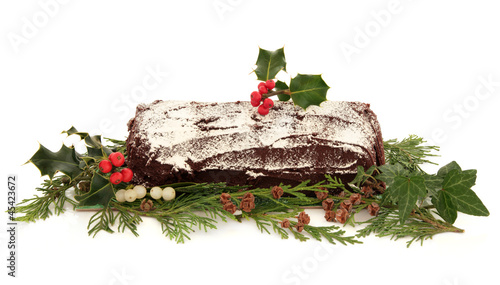 Photos Yule Log Christmas Cake