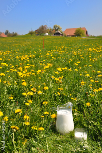 Jug of milk on the meadow. Emmental region, Switzerland
