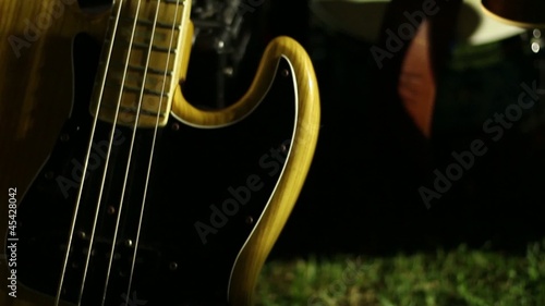 Chitarre in giardino