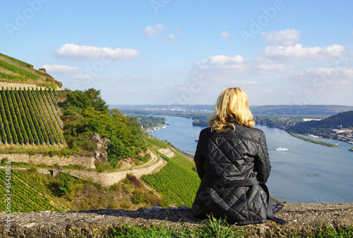 Weinberge am Rhein - Panorama Blick photo