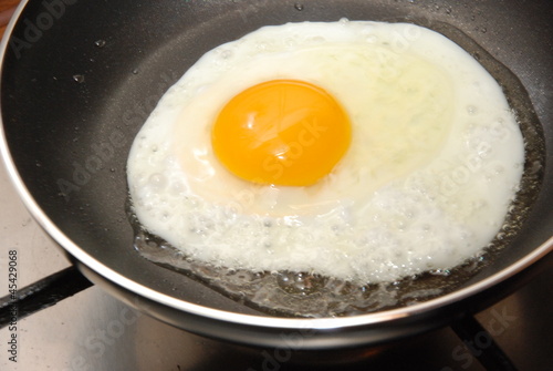 fried egg 