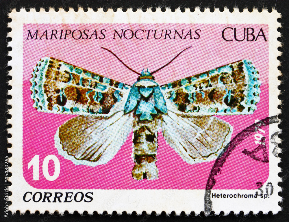 Fototapeta premium Postage stamp Cuba 1979 Heterochroma, Nocturnal Butterfly