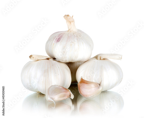 Garlic