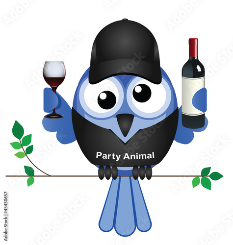Party Animal bird sat on a branch