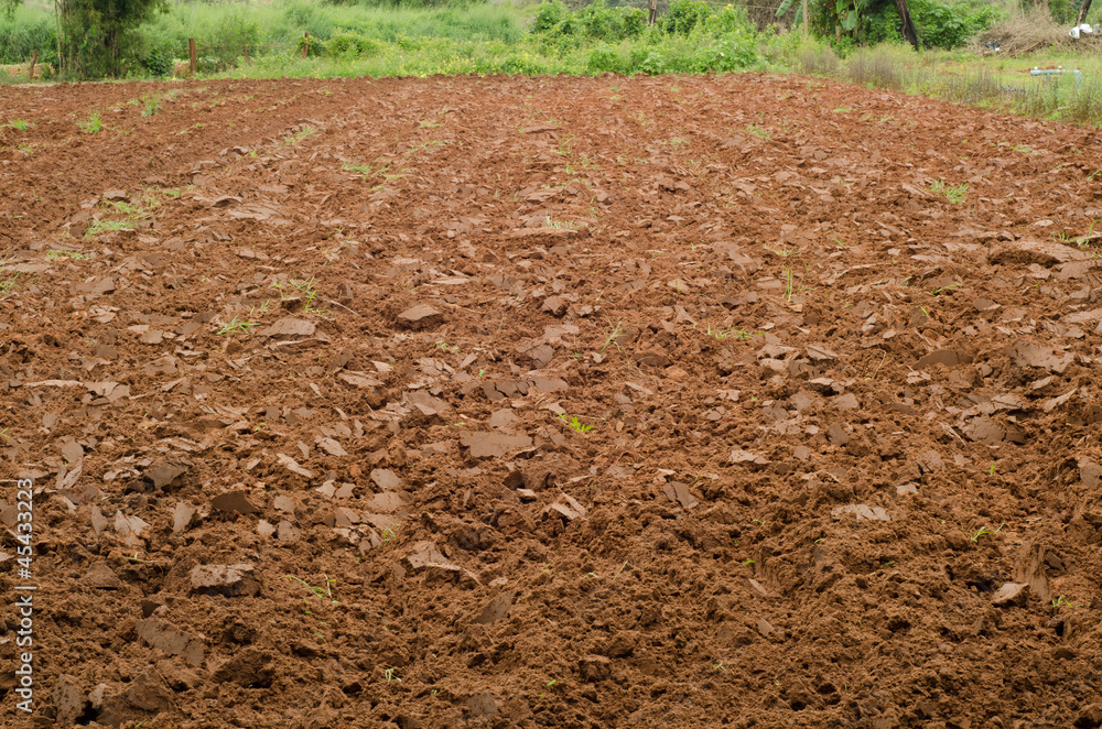 Plowed ground for planting. Plowed ground for planting.