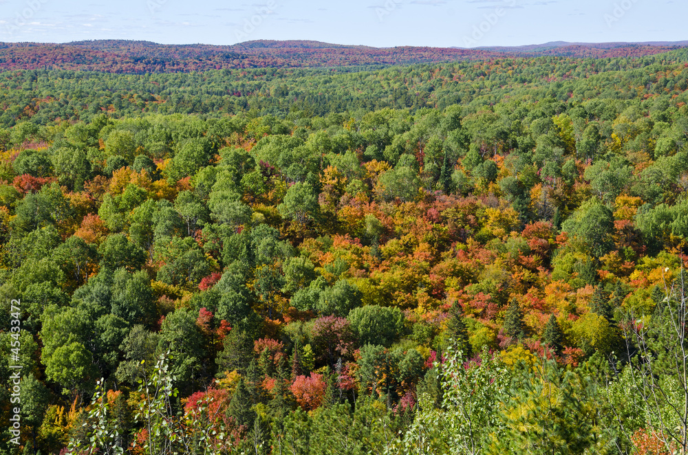 Fall Colors From Lookout Trail in Algonquin Park
