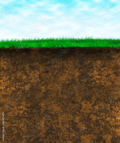 Green grass soil - texture surface