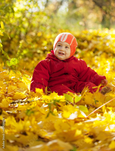 Happy toddler   in autumn park