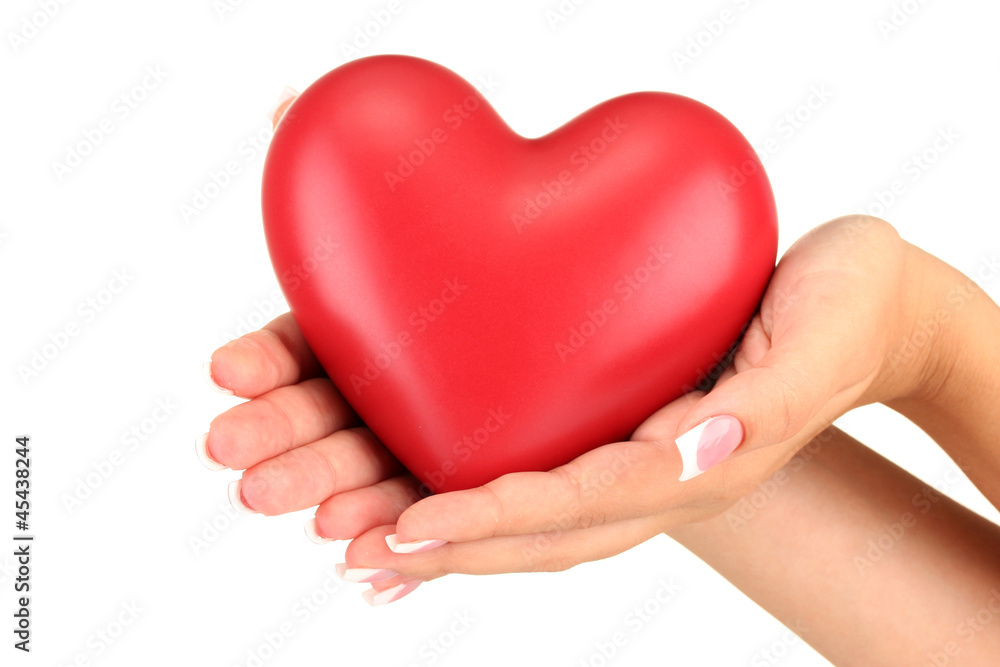 Red heart in woman's hands, on white background close-up Red heart in woman's hands, on white background close-up