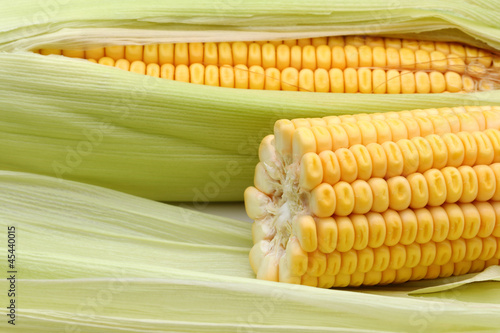 fresh corns and half corn