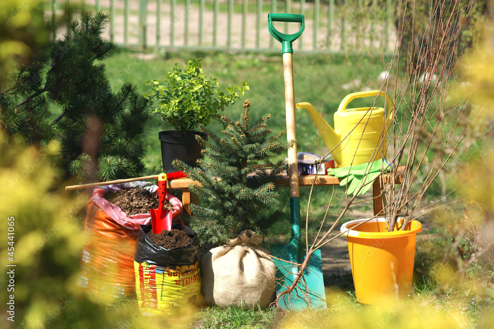 Naklejka premium Planting