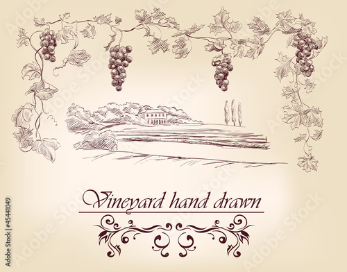 hand drawn label vineyards