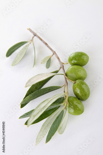 green olive