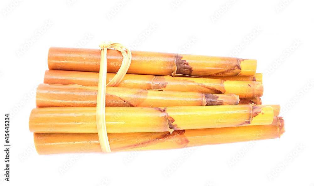 bamboo shoot bamboo shoot