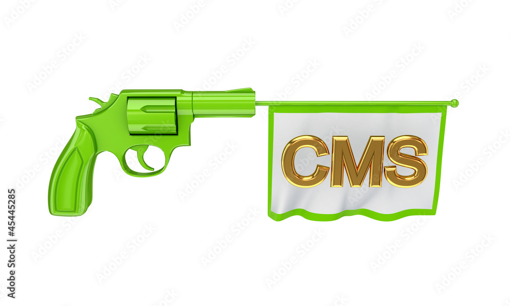 White flag with golden word CMS. White flag with golden word CMS.