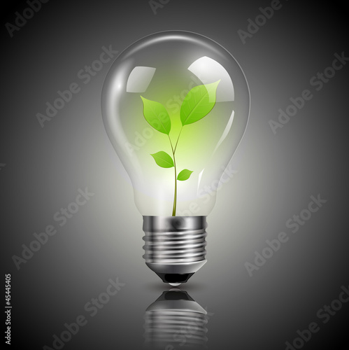 Light bulb with green sprout inside, vector.