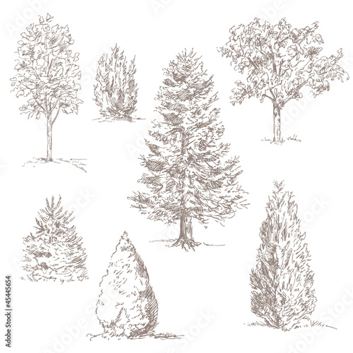 hand drawn trees isolated on white