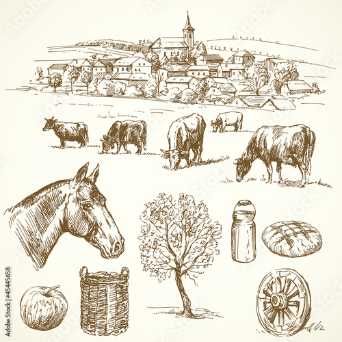 farm animal, rural village - hand drawn collection