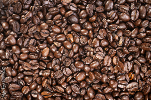 Fresh coffee beans