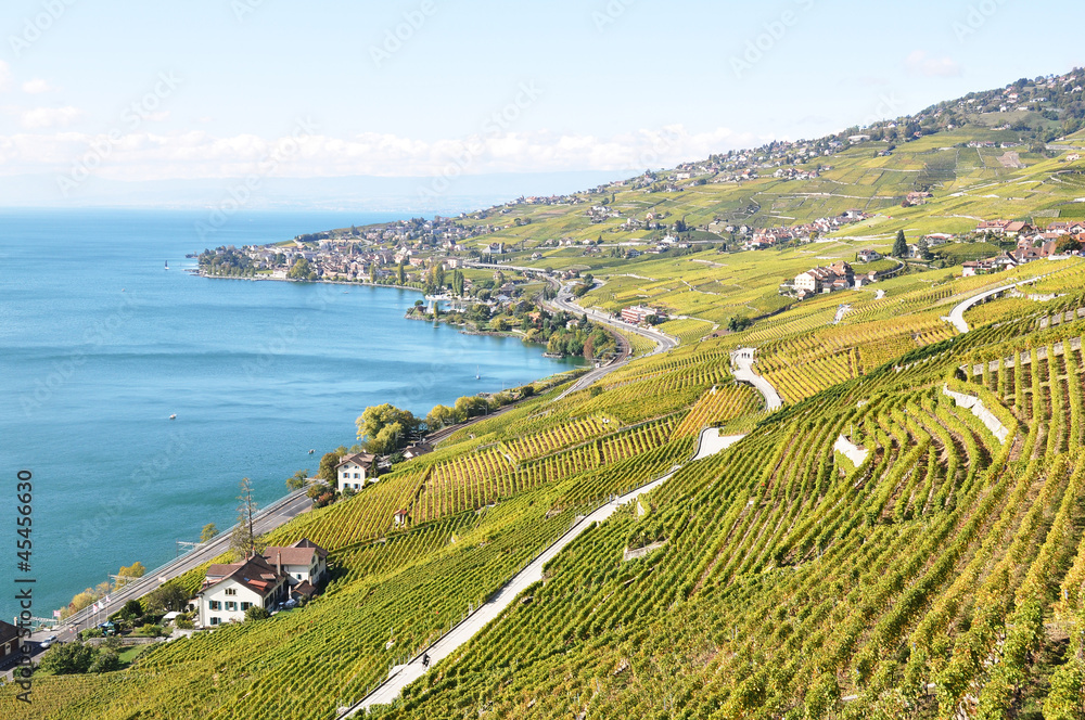 Vineyards in Lavaux region at Geneva lake, Switzerland