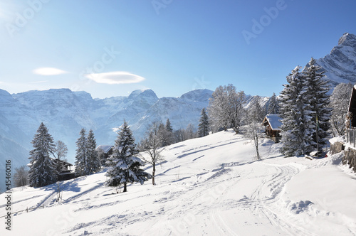 Alpine scenery  Braunwald  Switzerland