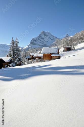 Fototapeta Naklejka Na Ścianę i Meble -   Alpine scenery, Braunwald, Switzerland