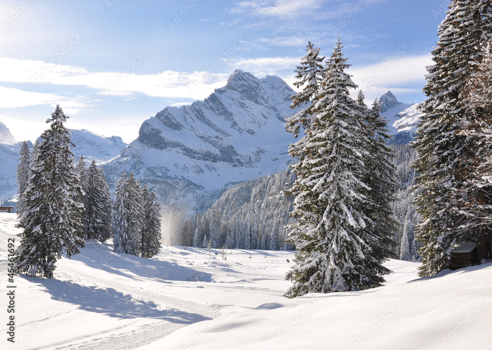 Obraz premium Braunwald, famous Swiss skiing resort