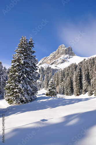 Wallpaper Mural Eggstoeke mount 2449m. Braunwald, Switzerland Torontodigital.ca