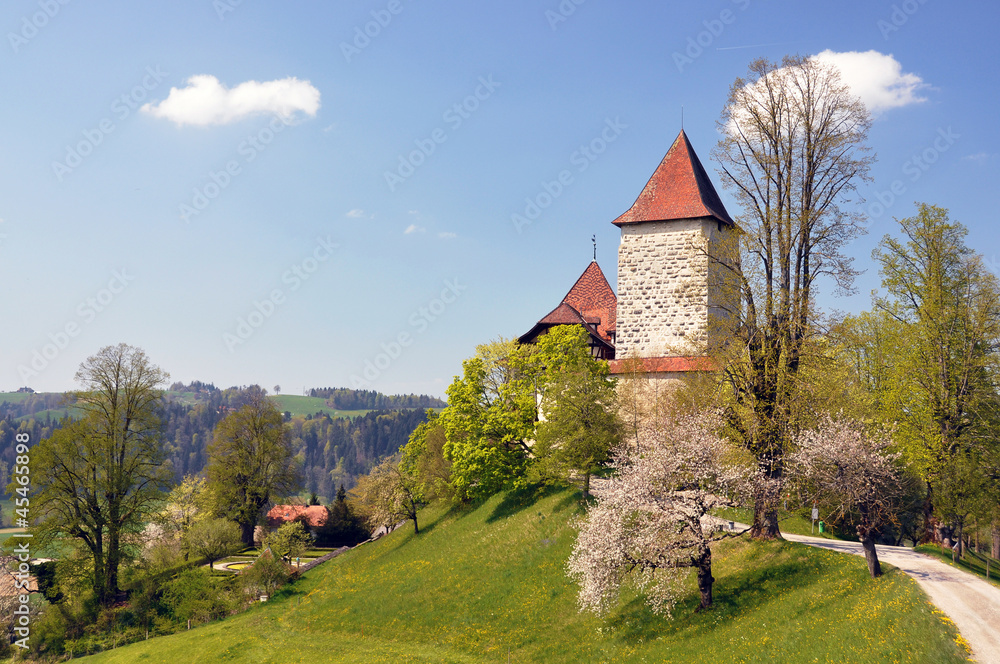 Tharchselwald castle, Switzerland